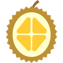 Yellow durian fruit with four triangles.