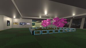 USFN Starbase Alpha.jpg