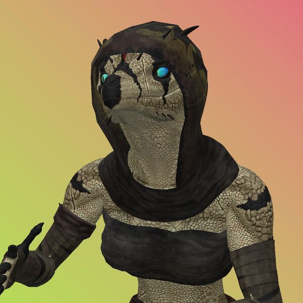 File:Draconic Sorceress - Avatar.jpg